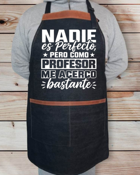 Nadie es Perfecto, Pero como Profesor