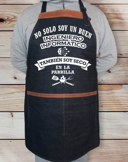 Ingeniero Informático
